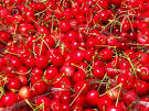 http://laphotodujour.hautetfort.com/photos/medium_cerises.jpg