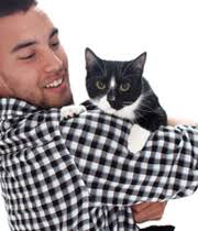 Bildergebnis für ‫سگ واقی وکربه واقی‬‎