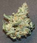 White Russian