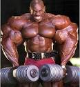 Bodybuilder Wallpapers Free Download HD - Gym ~ Family Doctor ...