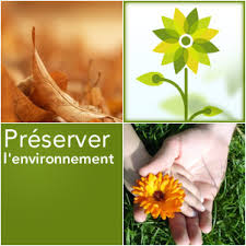 external image images?q=tbn:ANd9GcSWI-O4cXecwkH6EfXizoIJ6NsapJlwcKbSzBv8S9A0Pnhct49_yw