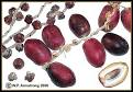 Palm Fruit Photos
