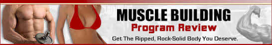 Best Way To Build Muscle