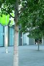 This one, planted with tulip - via Daymix