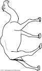 Camel coloring page