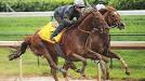 Kentucky Derby contender: Awesome Act - ESPN