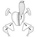 carve a turkey. Chris Philpot