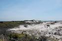 FIRE ISLAND National Seashore - FIRE ISLAND Wilderness (U.S. ...