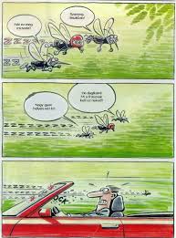 eznaonjóó