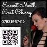 Escort North East Cherry, Newcastle, Newcastle upon Tyne, NE5 3HP