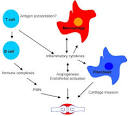 Clinical Trials and Images of Cytokines