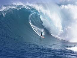http://t1.gstatic.com/images?q=tbn:ANd9GcSYgUIVb8Jscgf5r6T9psy3R1rKTAoA1hfoNlmVP2VzUv0-6VslXQ