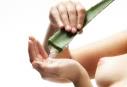 http://www.skobee.com/wp-content/uploads/2011/04/aloe-vera-skin-lightening-1188.jpg