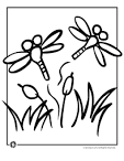 Dragonfly coloring page