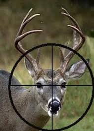   How To Choose  A Gun For  Deer Hunting Season