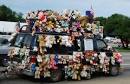 car animal