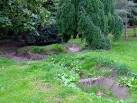 Japanese water garden in - via Daymix