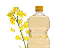 Canola Oil | Sager