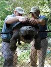 Alligator Snapping Turtle