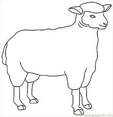 Image result for sheep coloring page