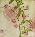 amanda briggs at
 dear ada: bet ...