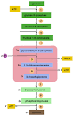 Glycolysis