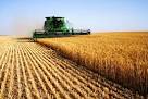 Agrifood Forum - Agricultural products