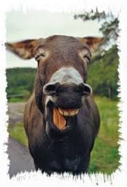 images?q=tbn:ANd9GcSZrS76x05taOD1kUQdTsJCpMbJwiCZycaThd8OQ5i2I3nDRfLG