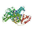 Bovine <b>serum albumin</b>
