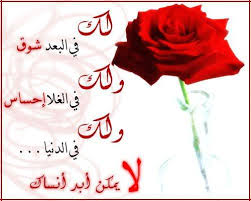 اساليني وبجاوبك بصوره..... - صفحة 3 Images?q=tbn:ANd9GcS_4HVLHrjPacn9yyyNKiy11rRHkRbMB9PHo7CEbm0FjXGQ8FsX