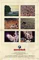 Woodstock (film) - Wikipedia, the free encyclopedia