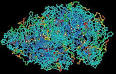 Macromolecule - Wikipedia, the free encyclopedia