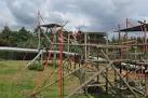 Monkey World : Chimpanzee - via Daymix