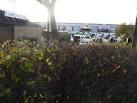 SK5034 : Fast food and retail therapy. near to Attenborough, Nottinghamshire - via Daymix