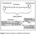 Entre os <b>carotenóides</b>, o