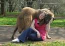 Anatolian Shepherd Breeder Anatolian Puppies Turkish Shepherds