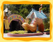 All About Fairyland