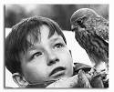 ... Movie picture of Kes buy celebrity photos and posters at Starstills.com - ss2322164_-_photograph_of_david_bradley_as_billy_casper_from_kes_available_in_4_sizes_framed_or_unframed_buy_now_at_starstills__60059_zoom