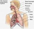 Rewarding Careers in Human Biology | Human Biology