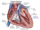 Heart Failure Treatment Center :: Winthrop University Hospital