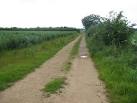 This track leads into the fields towards Tickencote Warren. - via Daymix