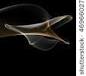smoke photography dolphin