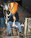 FOIE GRAS | Two Sides of the Same Story | Roger Moore vs Anthony ...