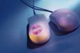 What is the most popular time of year for online dating?eHarmony Blog