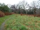 Northbourne: Puck's Dell on a wet morning - via Daymix