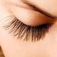 eyelash - Definition of eyelash