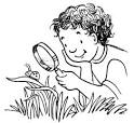 TLC Family Easy Outdoor Science Activities For Kids