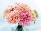  flower bouquet , Wallpaper, Backgrounds, Androlib