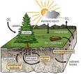 Dynamics of Nutrient Cycling, cont. - eXtension