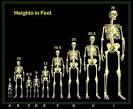 Giants throughout History